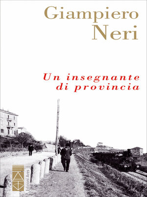 cover image of Un insegnante di provincia
